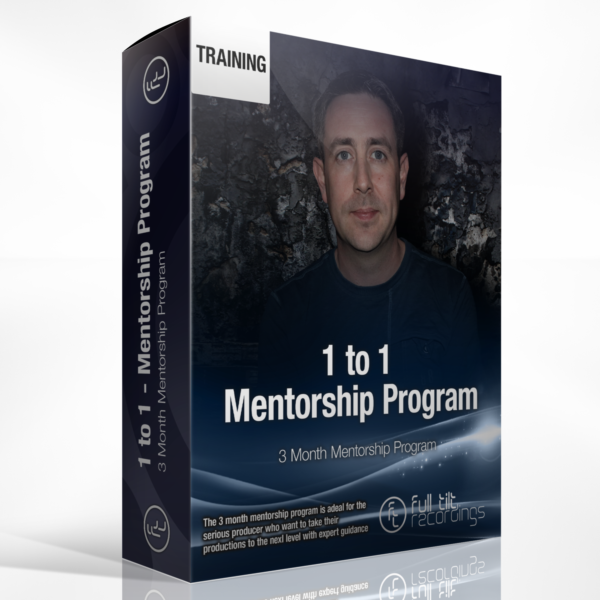 1 To 1 Mentorship Program